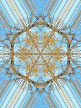 kaleidoscope - moving picture by @c